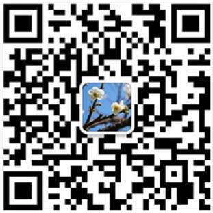 1656378167724891.jpg 106.jpg