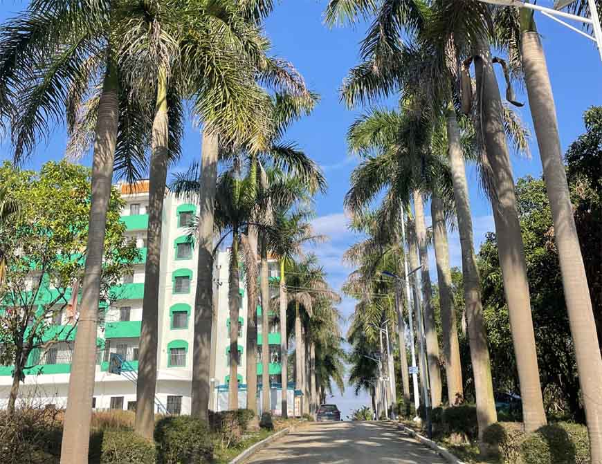 廣西叛逆行為矯正課程