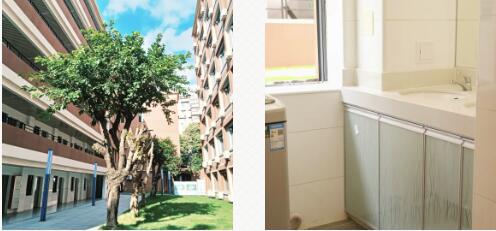 1721531020143468.jpg 12.jpg