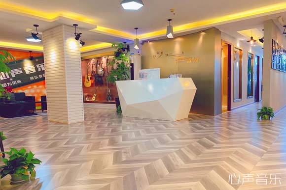 廣州心聲音樂專業(yè)小提琴一對一培訓(xùn)