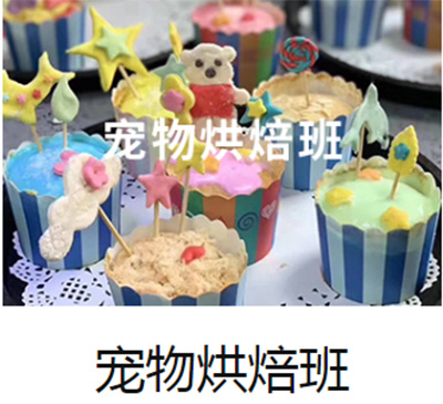 濟(jì)南一諾寵物美容師C級(jí)+烘焙班