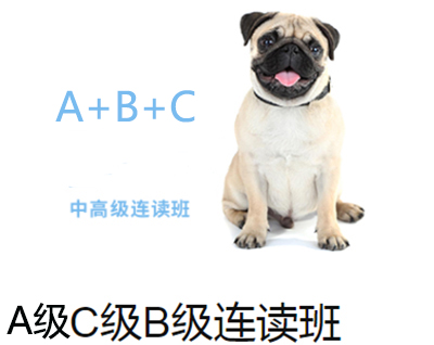 濟(jì)南一諾寵物美容師CBA級(jí)專(zhuān)業(yè)班