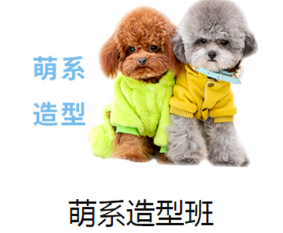 濟(jì)南一諾寵物美容萌系速成班