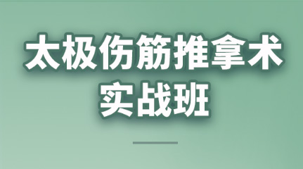 保定易水醫(yī)方太極傷筋推拿術課程