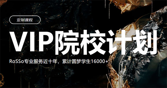 武漢洛素VIP院校計劃