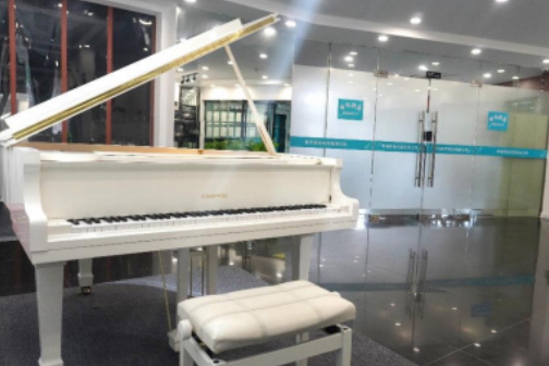 武漢琴鳥(niǎo)音樂(lè)藝考培訓(xùn)班