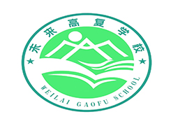 合肥新站未来高复学校