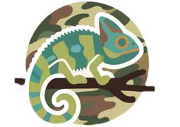 云南變色龍?jiān)茙X成長(zhǎng)特訓(xùn)營(yíng)