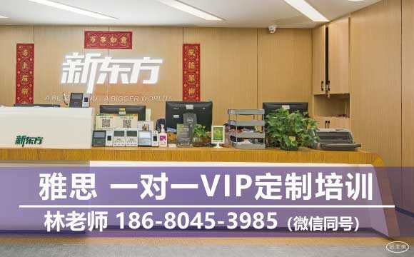 昆山市雅思一對(duì)一VIP定制課程