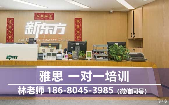 昆山市雅思一對(duì)一沖分班