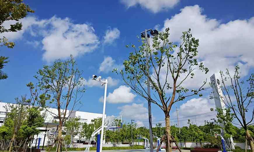 上海雙威公學日本高中課程