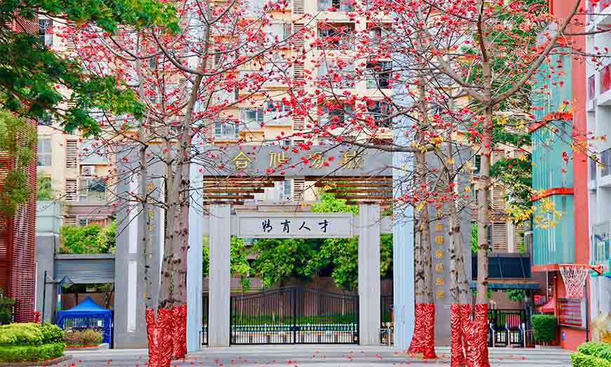 廣州香江中學國際HKDSE課程