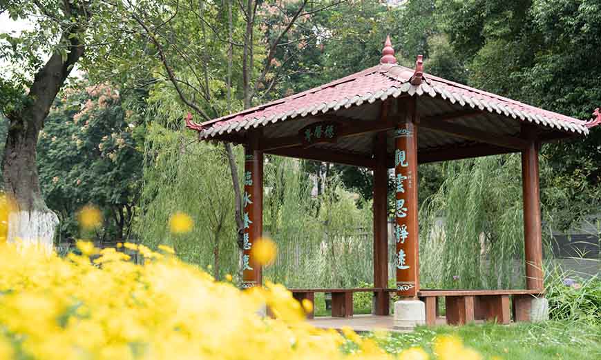 成都樹德中學(xué)國際部