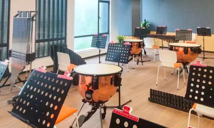 深圳新苗書院DSE課程