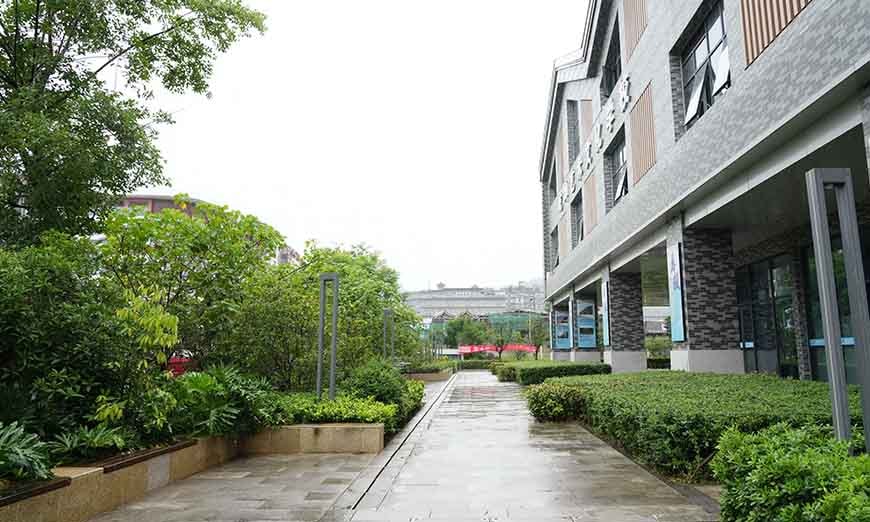 成都學(xué)大高三藝體生文化課集訓(xùn)班