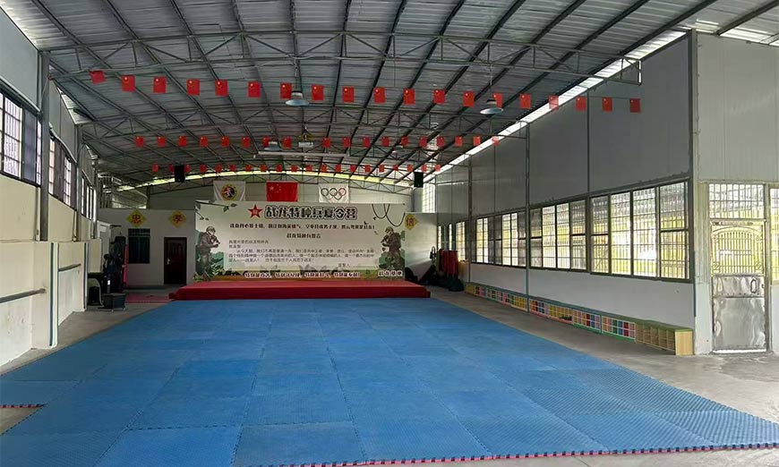 韶關(guān)戰(zhàn)龍心理輔導(dǎo)課程